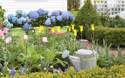 5 Springtime Home Maintenance Projects to Put on Your Radar…